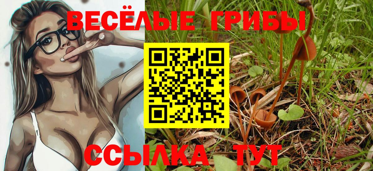 Воркута  Галлюциногенные грибы Magic Shrooms  Вход с VPN 